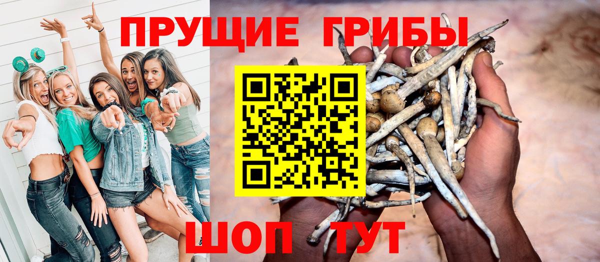 Менделеевск  где можно купить   Вход с VPN  Галлюциногенные грибы MAGIC MUSHROOMS 
